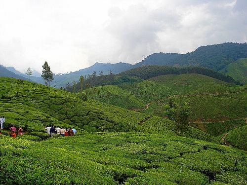 MUNNAR